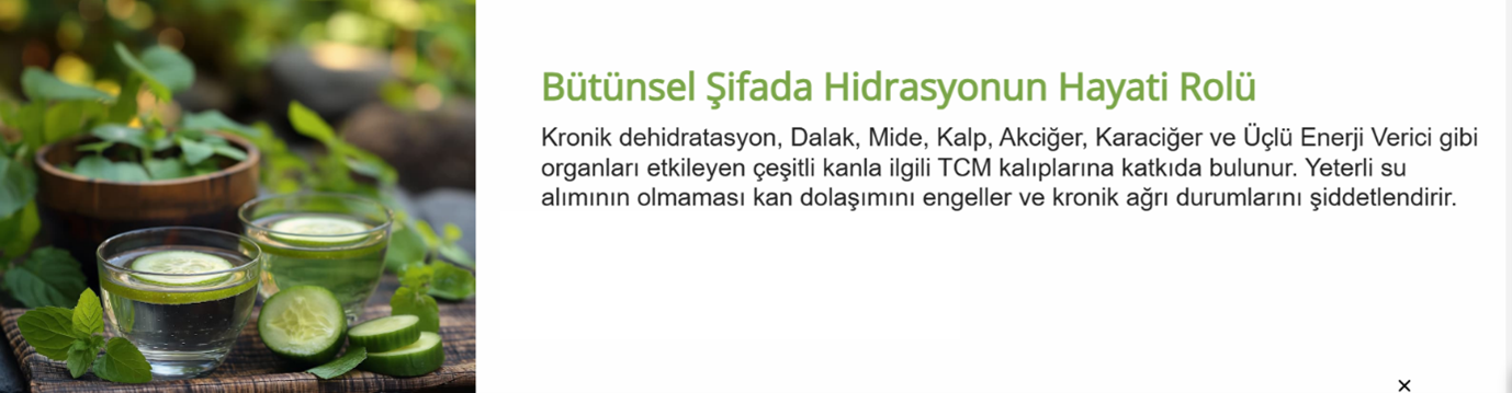 MERİDYEN TERAPİ / ACUGRAPH