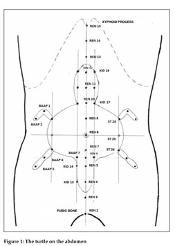 Minimal Ağrılı Batın Akupunkturu